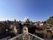 Prachtexemplar an der unteren alten Donau !