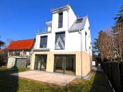 Prachtexemplar an der unteren alten Donau !