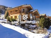 Prächtiges Chalet in La Tzoumaz