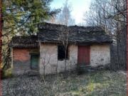 Prato, bosco, stalla