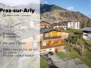 Praz sur Arly Vente Chalet 74