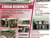 Pre Selling House and Lot data data