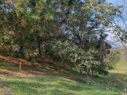 Pre Venta de Terrenos Bosques de Las Misiones Sector Antigua