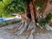 Pre Venta Departamento de Lujo con una excelente vista...