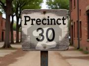 Precinct 30