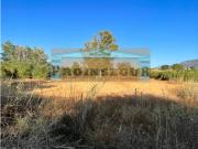 Precio a consultar de alquiler