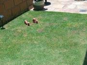 Venta Casa En Jardines de San Mateo, Naucalpan Estado de...