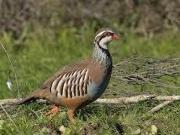 PRECIOSA FINCA RUSTICA DE 293 HECTAREAS EN LA PROVINCIA...