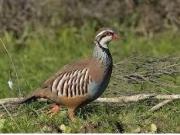 PRECIOSA FINCA RUSTICA DE 293 HECTAREAS EN LA PROVINCIA...