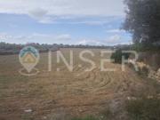 Preciosa finca urbanizable en Llucmajor