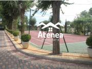 PRECIOSA PARCELA EN VENTA