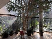 Preciosa y Amplia casa en Paseo Tesmic