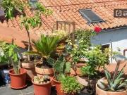 Precioso apartamento tipo loft de 2 dormitorios centro...