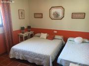 PRECIOSO CORTIJO RURAL EN ZONA DE SALAR. 5.000M2 DE...