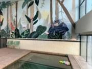 Precioso departamento en renta Americana Guadalajara