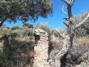 Precioso Olivar en Sierra de Fuentes