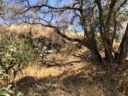 Precioso Terreno Ascendente en Venta. Excelente Ubicación