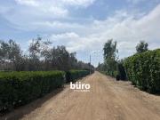 PRECIOSO TERRENO DE CAMPO EN VENTA, CONDOMINIO EL...