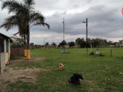 PREDIO 2.5 HAS BAJADA DE PIEDRA IMPERDIBLE