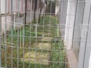 Prédio comercial monousuário rua oscar freire