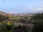 PREDIO EN LAS CABRAS DE 93 HECTAREAS PREDIO EN LAS CABRAS DE 93 HECTAREAS