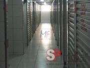 Prédio para Venda em São Paulo/SP Vila Nova Cachoeirinha