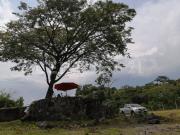 PREDIO RUSTICO PARA USO COMERCIAL EN RENTA, COFRADIA DE...