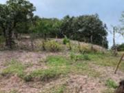 PREDIO RUSTICO TERRENO EN VENTA AMECA EN PRECIO DE...