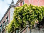 Prédio, São Vicente, Lisboa | BPI Expresso Imobiliário