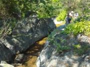 PREDIO SAN SIMON 70 HAS, SIERRA DE LA LAGUNA, BCS, MEXICO