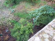 Prédio, Sé e São Lourenço, Portalegre | BPI Expresso...