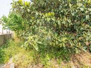 Prédio T6, Agualva e Mira Sintra, Sintra | BPI Expresso...