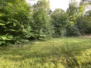 PREISREDUKTION! 973 m² Grundstück in absoluter...