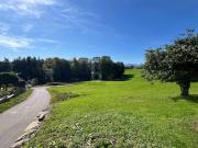 SELTENE GELEGENHEIT: BAUGRUND OHNE BAUZWANG ?...