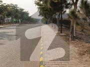 Premier Investment Opportunity: 10 Kanal Developed...