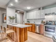 Premier Place Calgary Pet Friendly Apartment For Rent Lower.