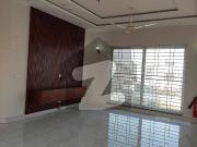 Premier Upper Portion with Separate Entrance | Steps...