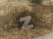 Premium 1 Kanal Plots in DHA Phase 8 IVY, Z1 & Z2 Ideal...