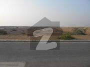 Premium 2000 Sq Yards Plot For Sale On Saba Avenue Phase...