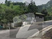 Premium 4 Kanal Farm House Plots Installments also possible
