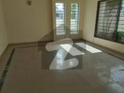 Premium 500 yards wellmaintaind banglow for rent phase 6...