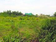 Premium Commercial Land for Sale in Sucat, Paranaque City