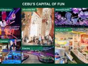 PREMIUM COMMERCIAL LOT FOR SALE Gatewalk Central Mandaue...