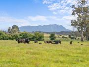 Premium Grazing Property