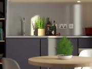 PREMIUM Only Students PREMIUM Only Students