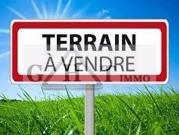 Presles en Brie Vente Terrain 77