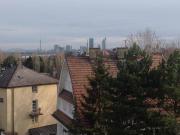 PRESTIGE PENTHOUSE MIT KAMIN +FREISTEHENDE BADEWANNE &...