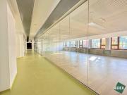 Prestigeträchtiges Büro mit 300 m2 zu vermieten Wien,...