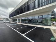 Prestigeträchtiges Büro mit 450 m2 zu vermieten Wien,...