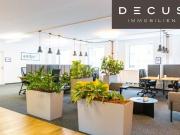 Prestigeträchtiges Büro mit 660 m2 zu vermieten Wien,...